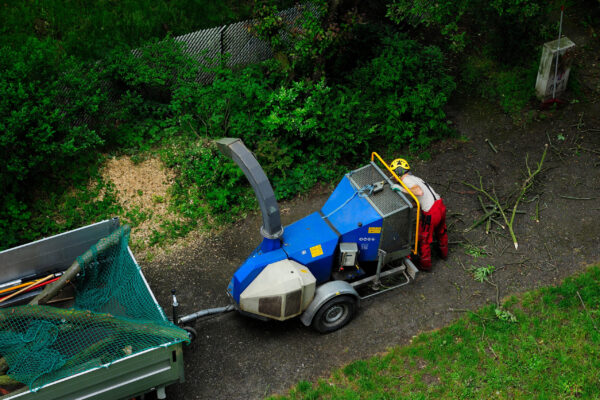 2A23R8B greenery, greenery in the city, cleaning works, trees, shrubs, branches, equipment, specialist, work, human work, worker, protected,