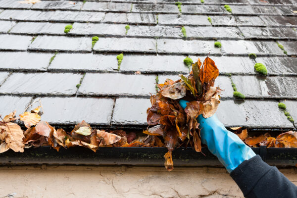 cleaning gutter clogged with leaves