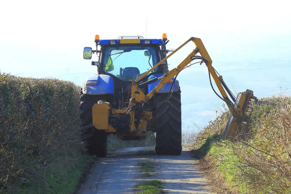 Hedge Cutting